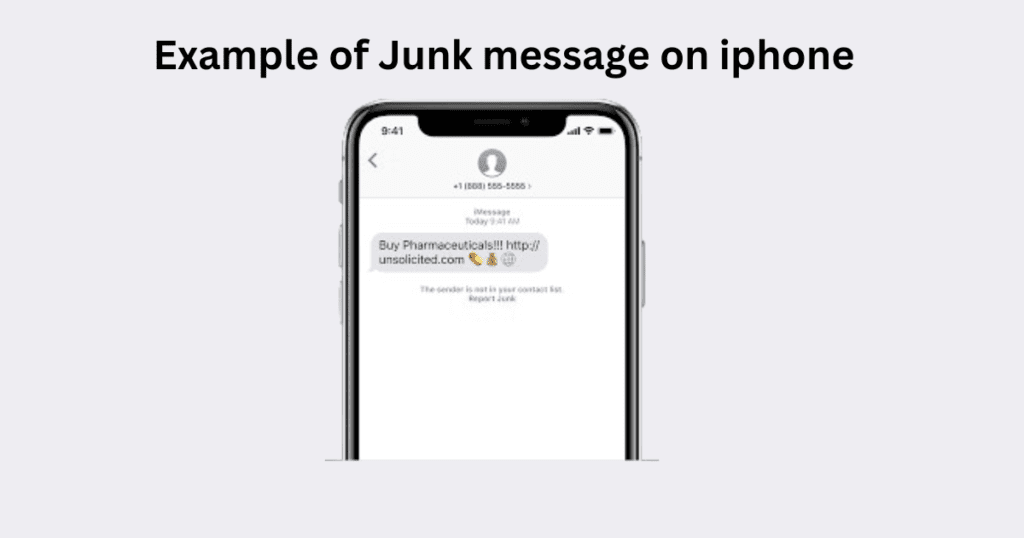 example of junk message 