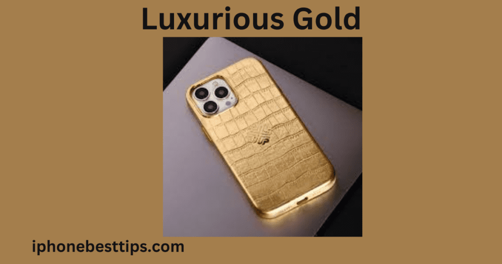 gold case