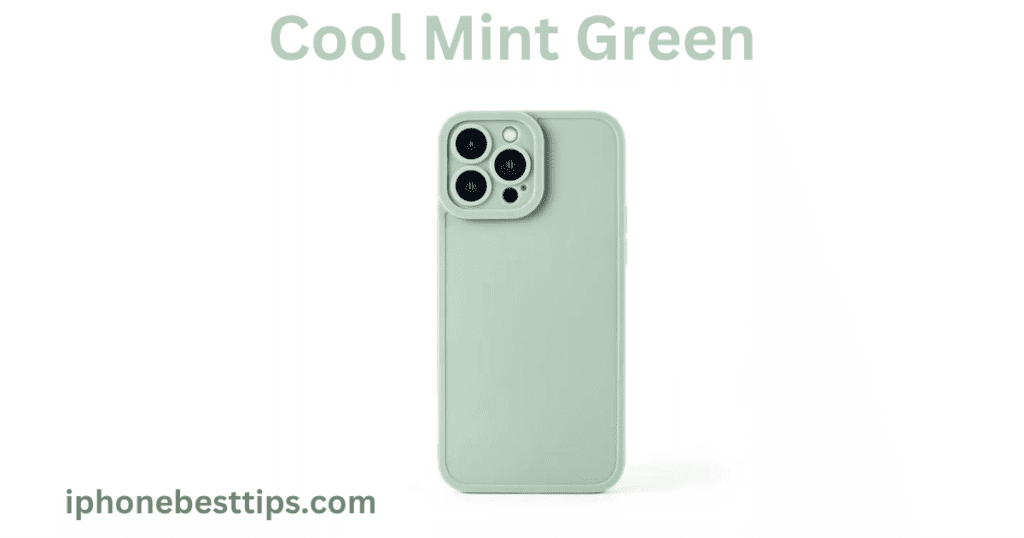 mint green with black