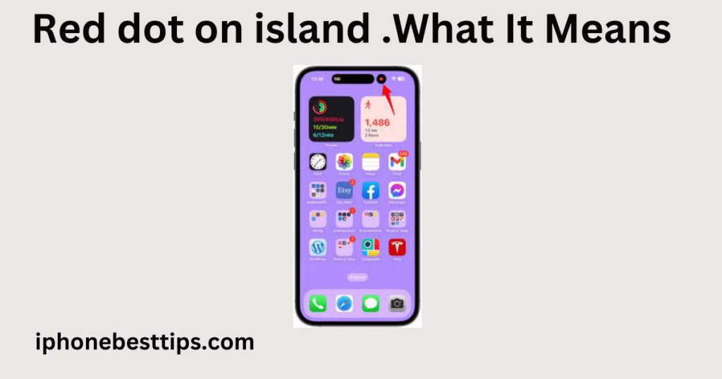 Red Dot on My iPhone Dynamic Island