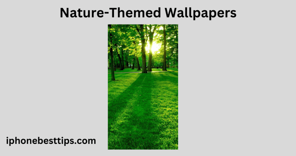 Nature-Themed Wallpapers iphone 12 wallapaper